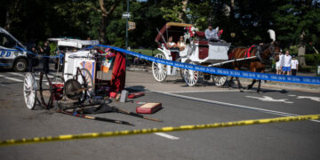 Horse Carriage Overturns in Central Park, Critically Injuring Man