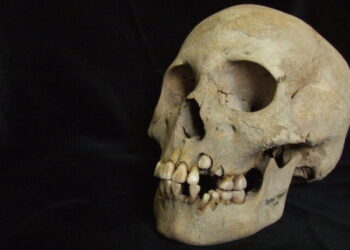 A Deadly Outbreak of Plague, Nearly 5,000 Years Before the Black Death