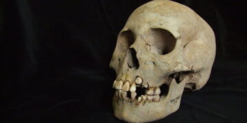 A Deadly Outbreak of Plague, Nearly 5,000 Years Before the Black Death