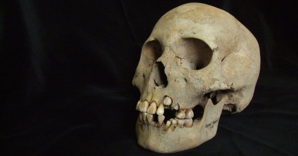 A Deadly Outbreak of Plague, Nearly 5,000 Years Before the Black Death