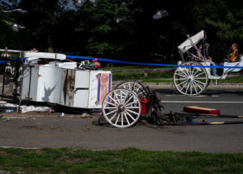 Central Park Rides Halted After Fatal Fall From Horse-Drawn Carriage