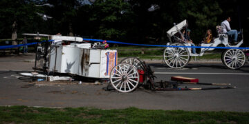 Central Park Rides Halted After Fatal Fall From Horse-Drawn Carriage