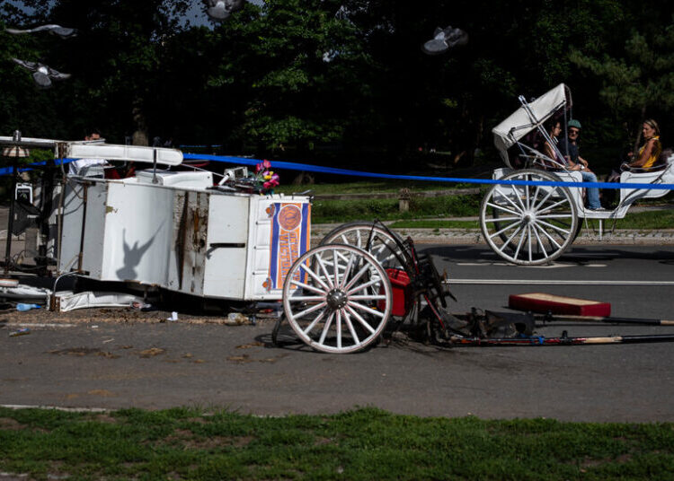 Central Park Rides Halted After Fatal Fall From Horse-Drawn Carriage