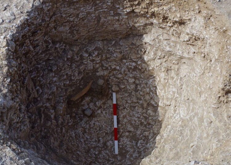 In Ancient Pits Near Stonehenge, Scientists See Hints of Solstice Ritual
