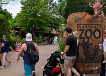 How the Nashville Zoo Became the Latest Face of Data Center Opposition
