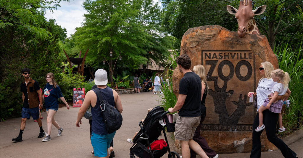 How the Nashville Zoo Became the Latest Face of Data Center Opposition