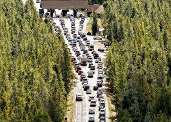 Going to a National Park This Summer? Here’s What to Expect.