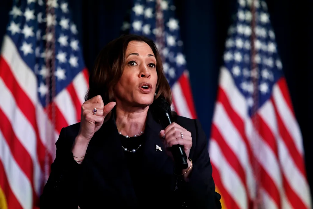 Kamala Harris speaks at a moderated conversation with former Trump administration national security official Olivia Troye and former Republican voter Amanda Stratton on July 17, 2024 in Kalamazoo, Michigan.