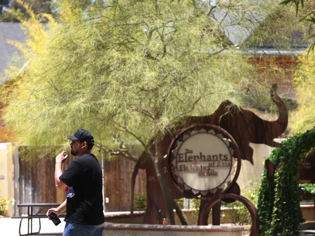A visitor walks past the elephant exhibit at the Los Angeles Zoo.