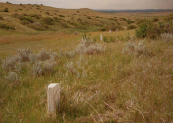 For Heirs of Custer and Sitting Bull, a 150-Year-Old Battle Is Personal