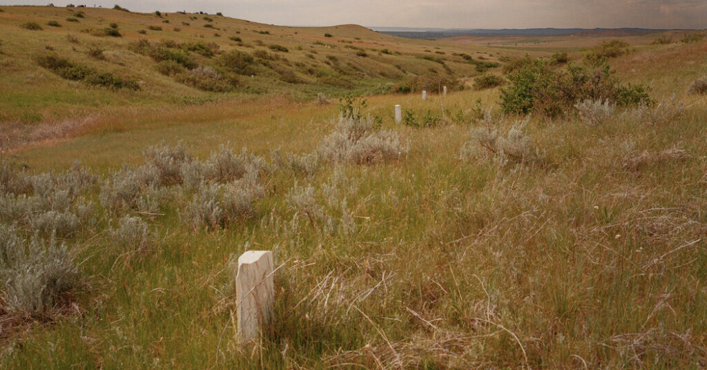 For Heirs of Custer and Sitting Bull, a 150-Year-Old Battle Is Personal