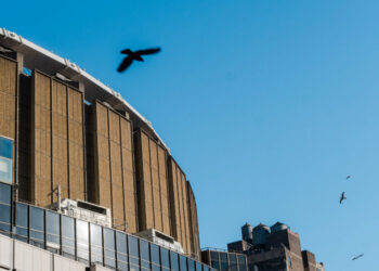 Man, 51, Dies in Fall From Balcony During Concert at the Garden