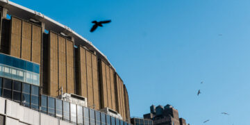 Man, 51, Dies in Fall From Balcony During Concert at the Garden