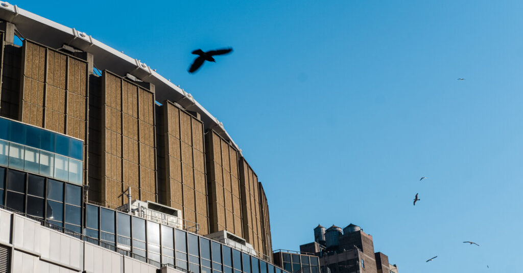 Man, 51, Dies in Fall From Balcony During Concert at the Garden