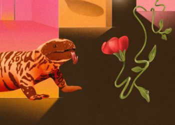 The Science That Turned Lizard Venom Into GLP-1s Is Under Attack