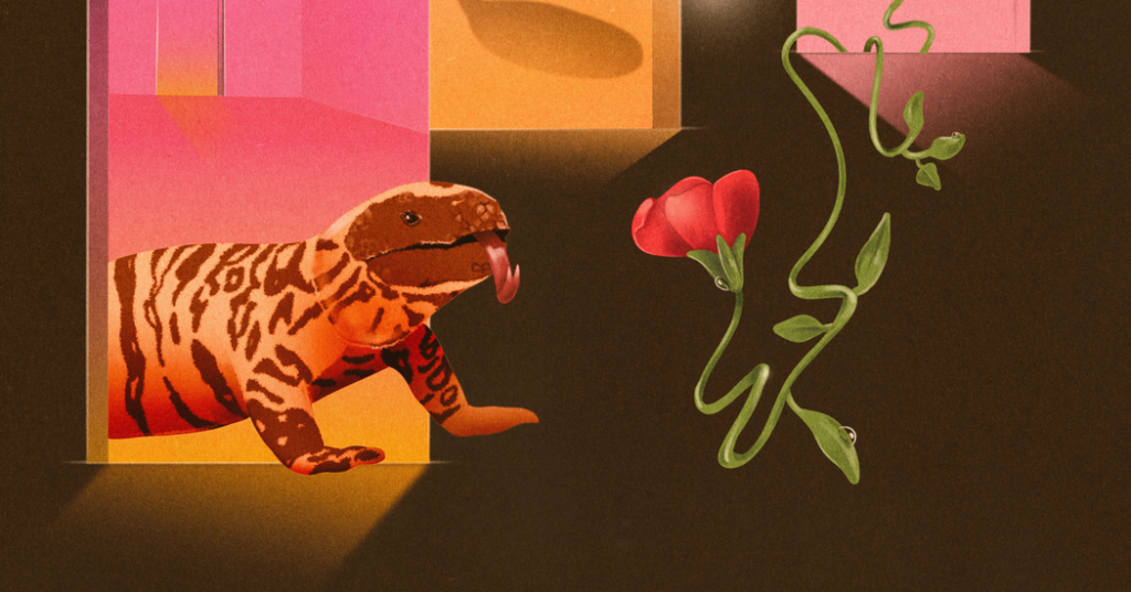 The Science That Turned Lizard Venom Into GLP-1s Is Under Attack