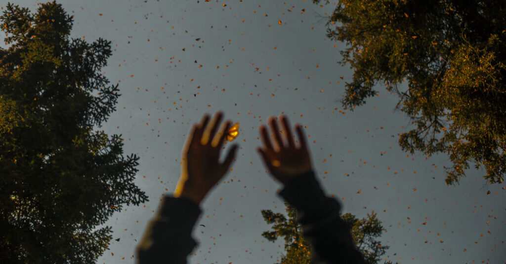 ‘There Was Love and Then There Was Suffering’: A Q&A With Christian Wiman