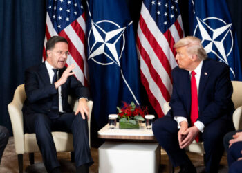 NATO’s Leader Has One Big Strength and Weakness: How He Talks to Trump