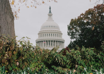 What’s the Matter With Congress?