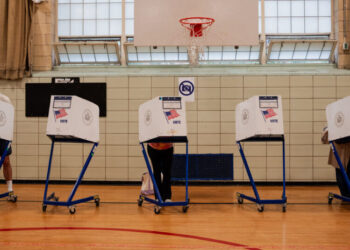 Plenty of Interest, but Fairly Little Polling in Key New York Races