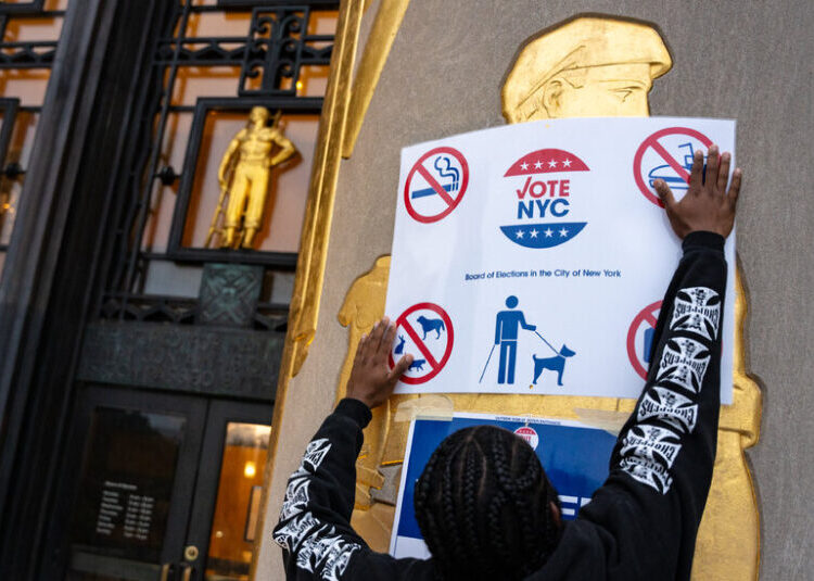 A Last-Minute Guide to the Candidates in New York’s Primaries