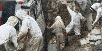 Millions of Bees Spilled Onto a Road in Texas. These Beekeepers Got to Work.
