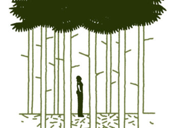 A Mystery So Good, Our Columnist Read It in One Sitting