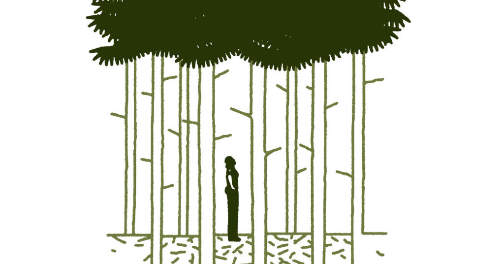 A Mystery So Good, Our Columnist Read It in One Sitting