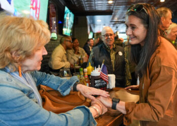 After Bruising Primaries in New York, Democrats Look to November