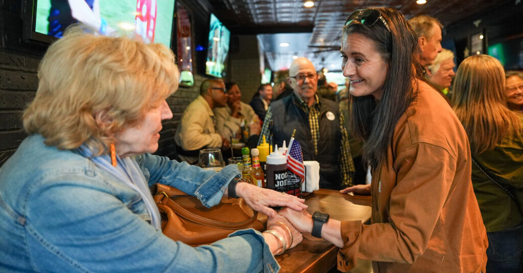 After Bruising Primaries in New York, Democrats Look to November