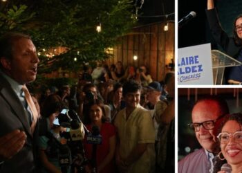 Jewish Leaders Wrestle With Israel Critics’ Sweep of N.Y. Primaries