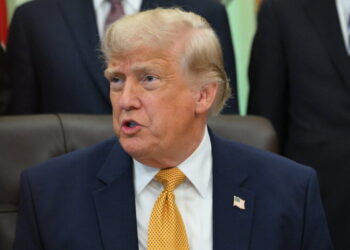 Federal Appeals Panel Rejects Trump’s Effort to Gather Voting Data From States