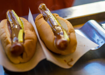 At the Great American State Fair, MAHA Meets Sno-Cones and Corn Dogs