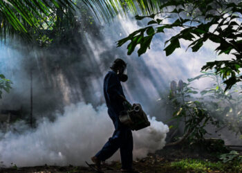 Drones Used to Fight Mosquitoes as Dengue Fever Surges in Sri Lanka