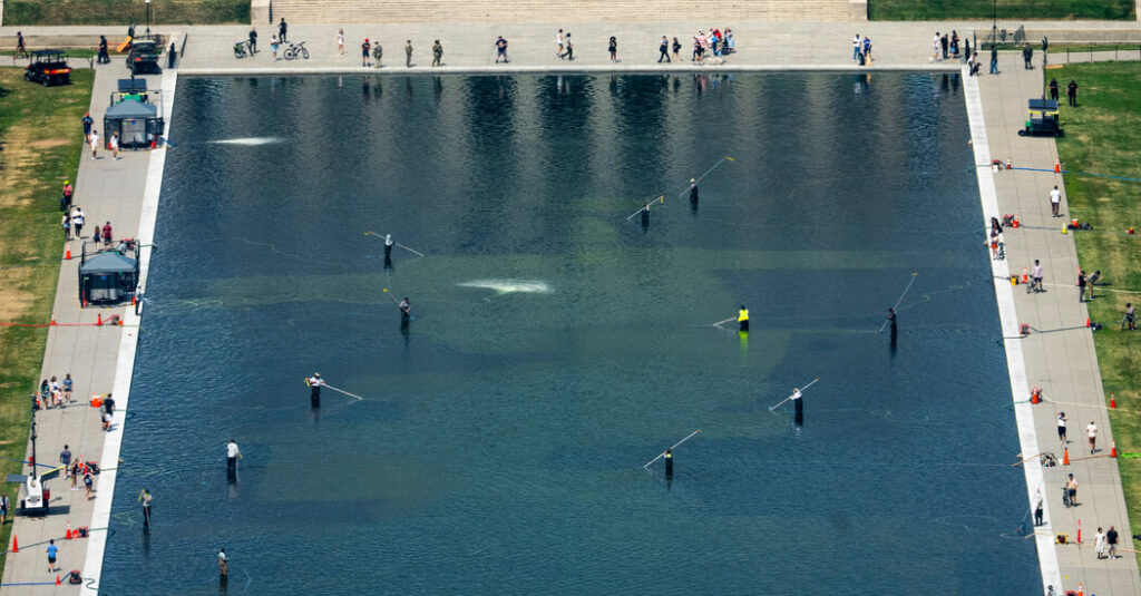 Prosecutors in Washington Say Citations Have Been Issued at Reflecting Pool