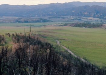 In Colorado, the Long Aftermath of a Fire Feels Political