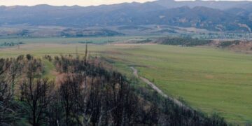 In Colorado, the Long Aftermath of a Fire Feels Political