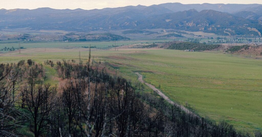 In Colorado, the Long Aftermath of a Fire Feels Political