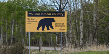 A Grizzly Encounter, Recorded in Its Entirety, Shows a Close Call