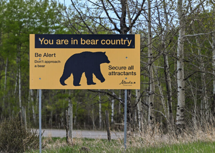 A Grizzly Encounter, Recorded in Its Entirety, Shows a Close Call