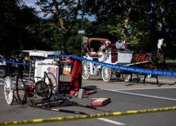 Central Park Horse-Drawn Carriage Rides Resume, as Push for Ban Intensifies