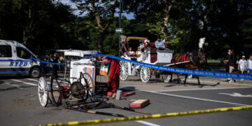 Central Park Horse-Drawn Carriage Rides Resume, as Push for Ban Intensifies