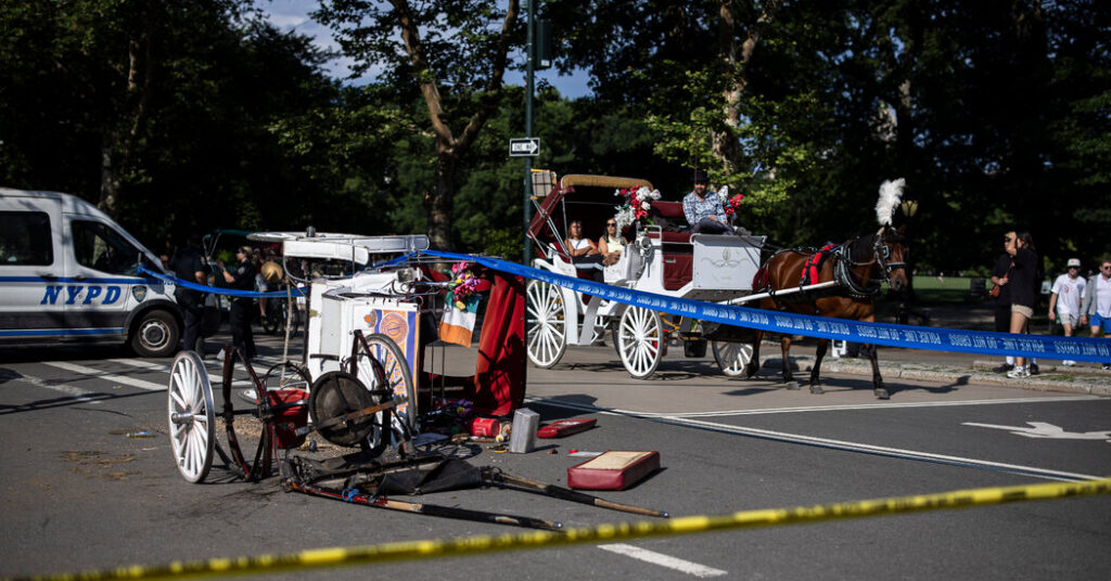 Central Park Horse-Drawn Carriage Rides Resume, as Push for Ban Intensifies
