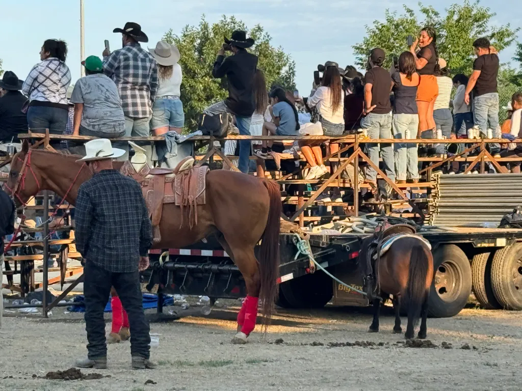 A group of spectators on elevated seating watch two horses with saddles and a man in a cowboy hat in the foreground.