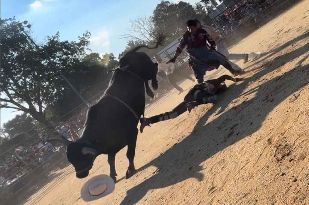 A bull and a fallen bull rider in an arena, with other people in the background.