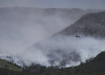 A Hot and Deadly Start to Wildfire Season