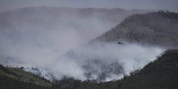 A Hot and Deadly Start to Wildfire Season