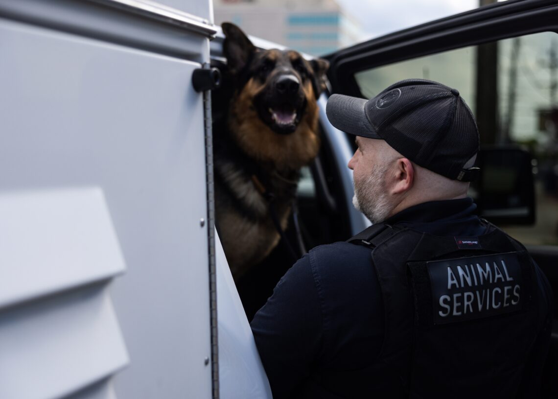 He made a career of saving animals. He’s helped 16,000 so far.