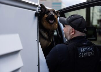 He made a career of saving animals. He’s helped 16,000 so far.