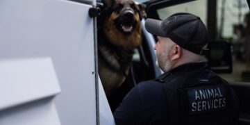 He made a career of saving animals. He’s helped 16,000 so far.